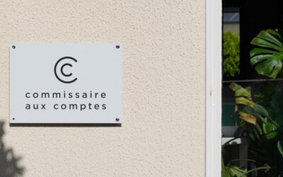 Commissaires aux comptes : homologation de onze normes d’exercice professionnel révisées