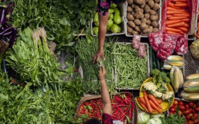 Loi sur la stabilité économique et la compétitivité du secteur agroalimentaire : quelles nouveautés ? 