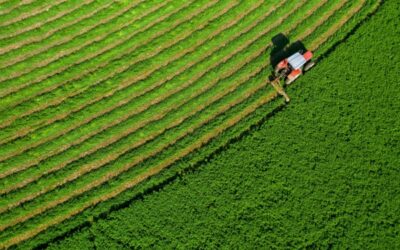 Souveraineté alimentaire : du nouveau ?