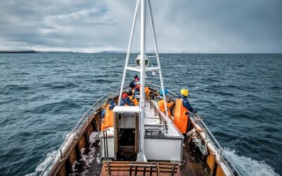 Distribution de carburant : un suivi à assurer…