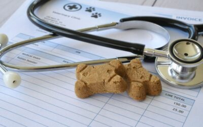 Frais de vétérinaires et d’alimentation animale : une révision de la TVA en vue pour les SPA ?