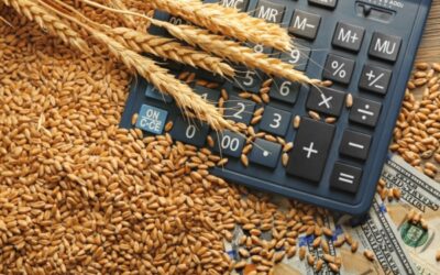 Coopératives agricoles d’approvisionnement : toujours exonérées d’impôt sur les sociétés ?