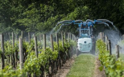 Produits phytopharmaceutiques : faciliter la lutte contre certaines maladies