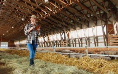 Crédit d’impôt « Haute Valeur Environnementale » : une fois, pas deux !