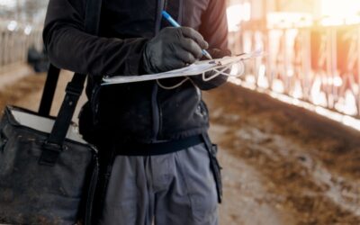 Recyclage et élimination des sous-produits animaux : une nouvelle réglementation disponible