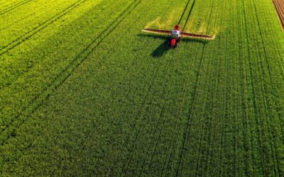 Loi Duplomb : ce qu’elle change pour les agriculteurs