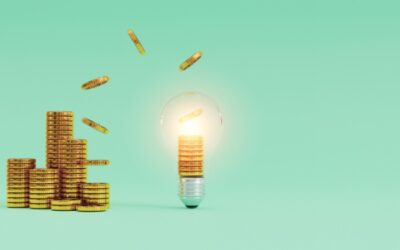 Chèque énergie : ouverture du guichet