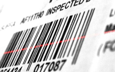 Programme de fidélité : un contenu très personnel