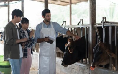 Travailleurs agricoles : une nouvelle aide à la promotion collective agricole