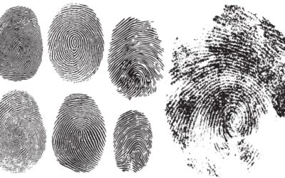 Casier judiciaire et empreintes digitales : quelques nouveautés…