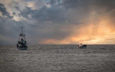 Licence de pêche européenne : rester actif pour conserver ses droits