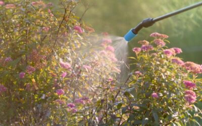 Produits phytosanitaires : réduction et contrôle de leur utilisation