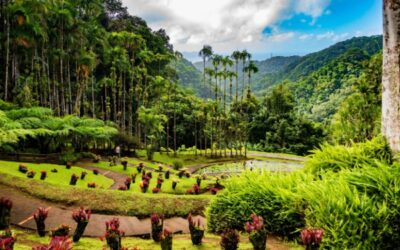 Impôts et taxes en Outremer : ce qui va changer en 2026