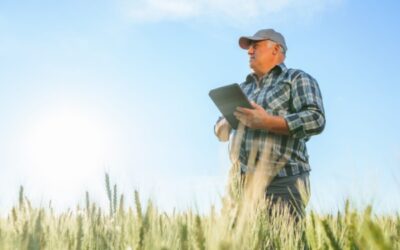 Retraite agricole : le point RCO revalorisé en 2025