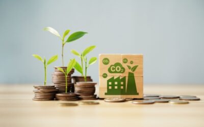 Crédit d’impôt « Haute Valeur Environnementale » : on joue les prolongations !