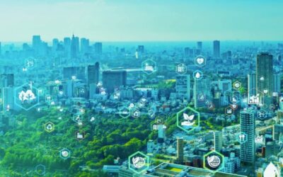 Décarbonation et électrification : un guide pour les entreprises