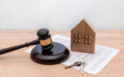SCI familiale : quand la location tourne à l’abus de droit…