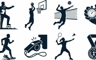 Organisation, gestion et financement du sport professionnel : réforme en cours